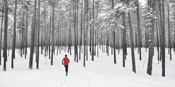 L’incanto di correre sulla neve fresca