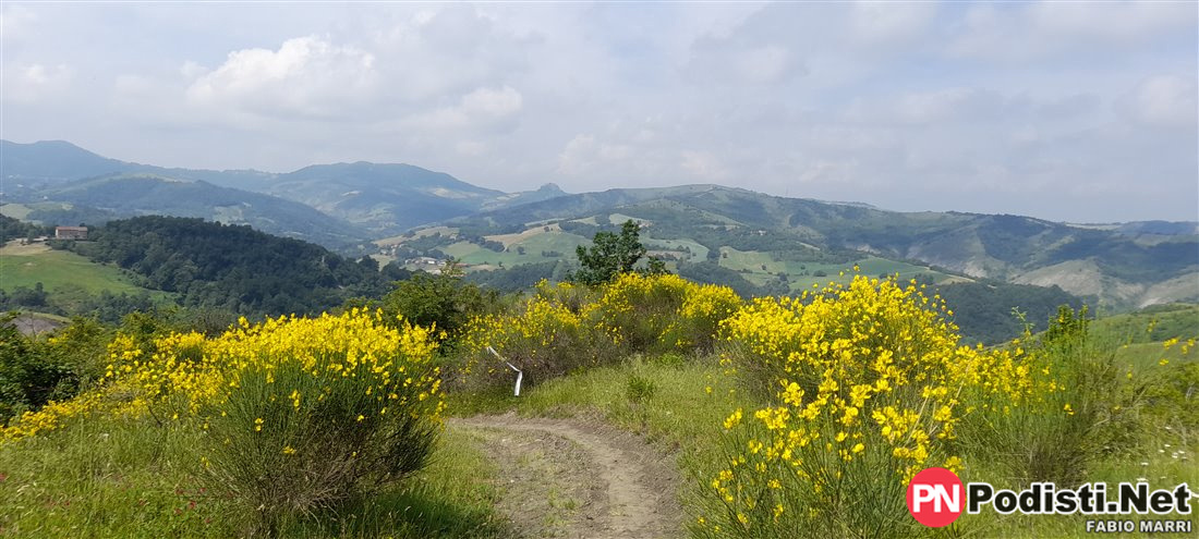 04.06.2023 Vezzano sul Crostolo (RE) – Pinetina Trail