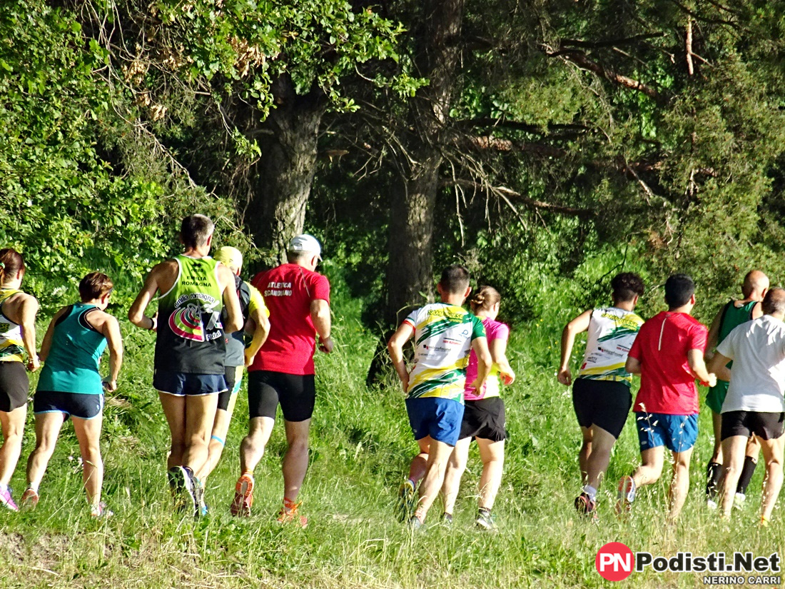 12.06.2019 Parco di Roncolo (RE) – Emergency Run
