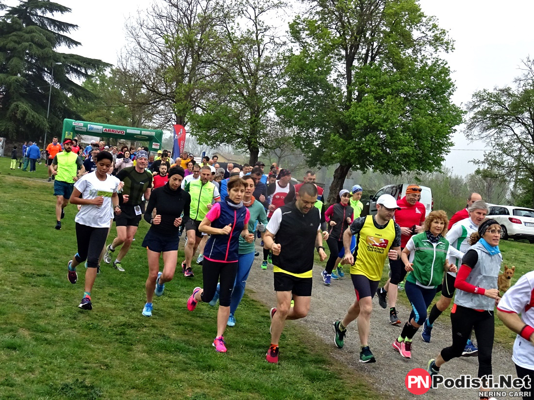 07.04.2019 Rivalta (RE) – 8° Lions Day