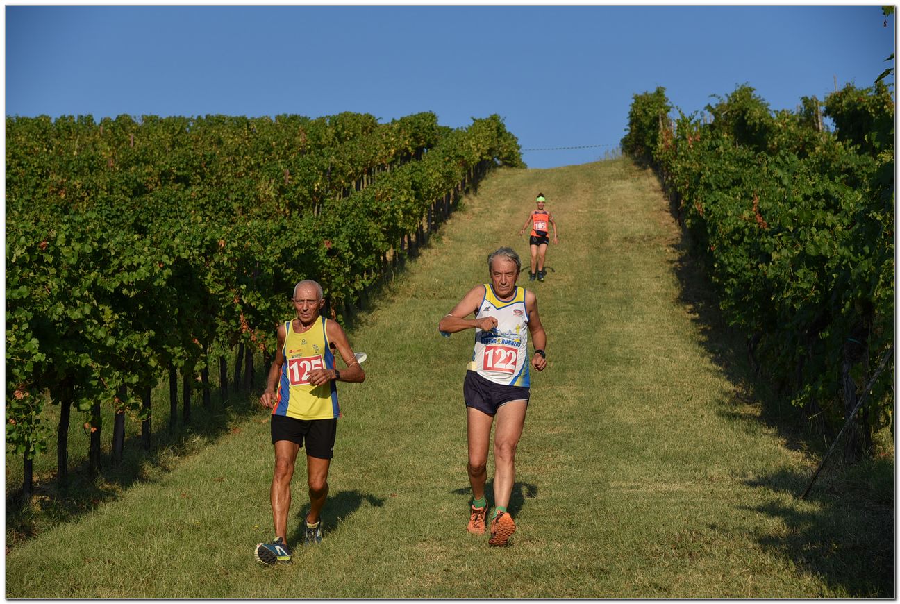 12.09.2020 Zola Predosa (BO) – Trail dell’Abbazia Light