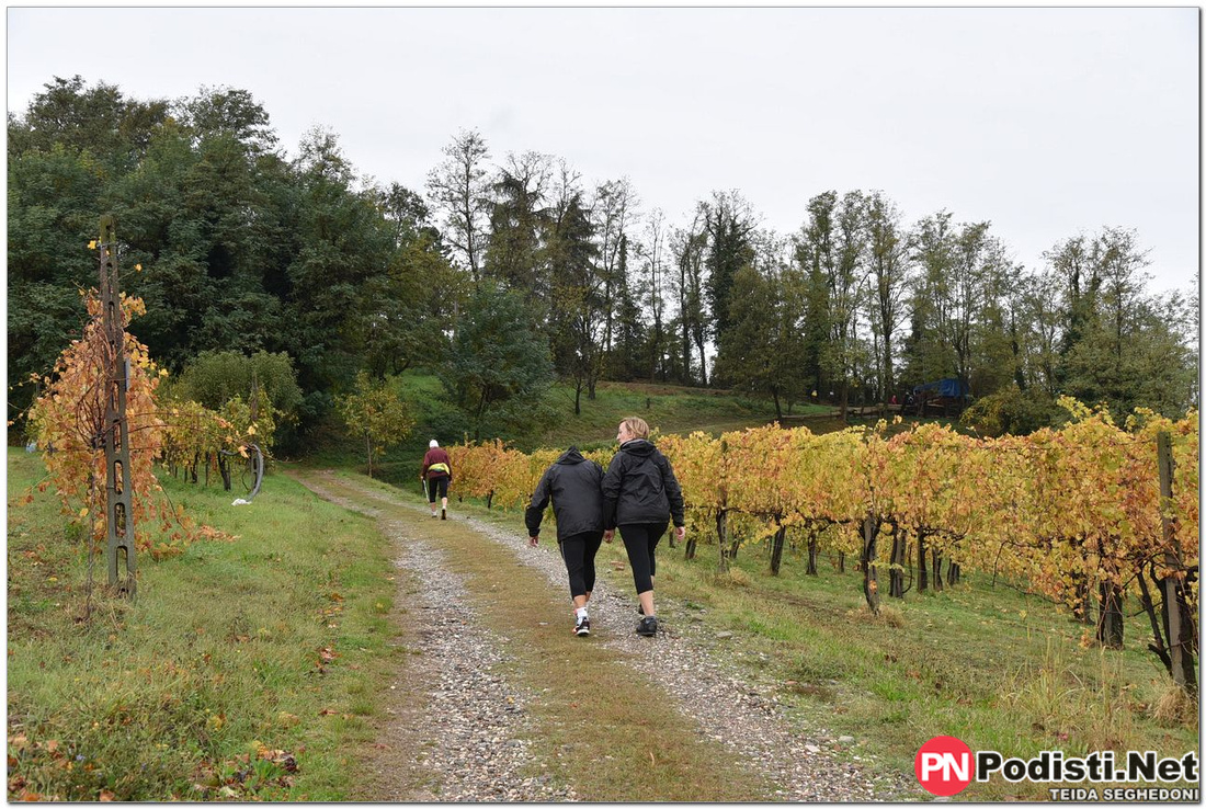 01.11.2018 Monteveglio BO –  1^ Camminata Valsamoggia per Telethon